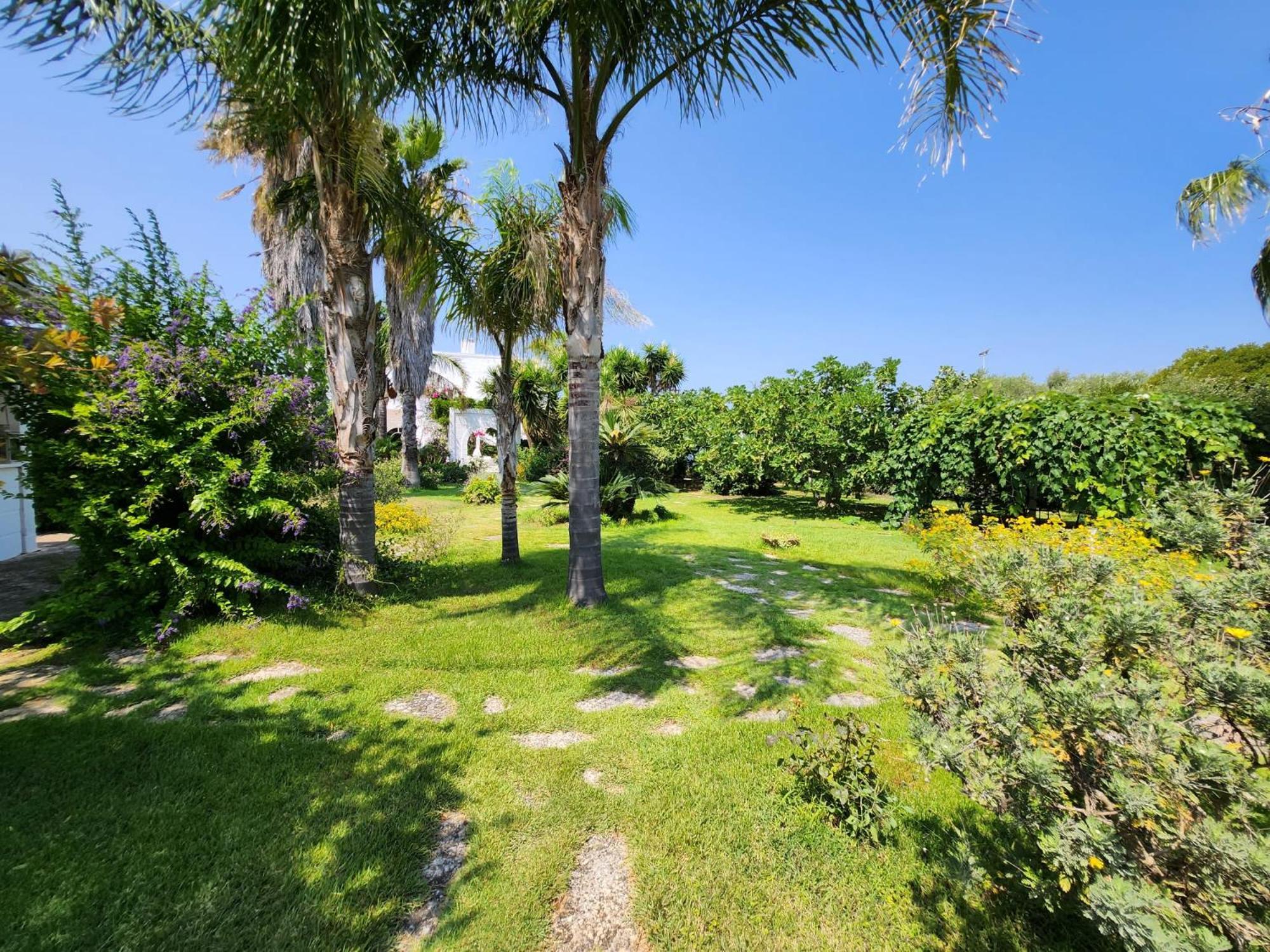 Bed and Breakfast Masseria Boezio Ostuni Torre Santa Sabina Zewnętrze zdjęcie